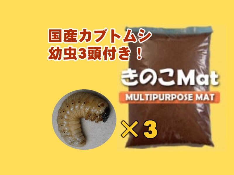 クワガタ・カブトムシ幼虫きのこマット Amazon.co.jp: 月夜野きのこ園 きのこMat 発酵マット クワガタ