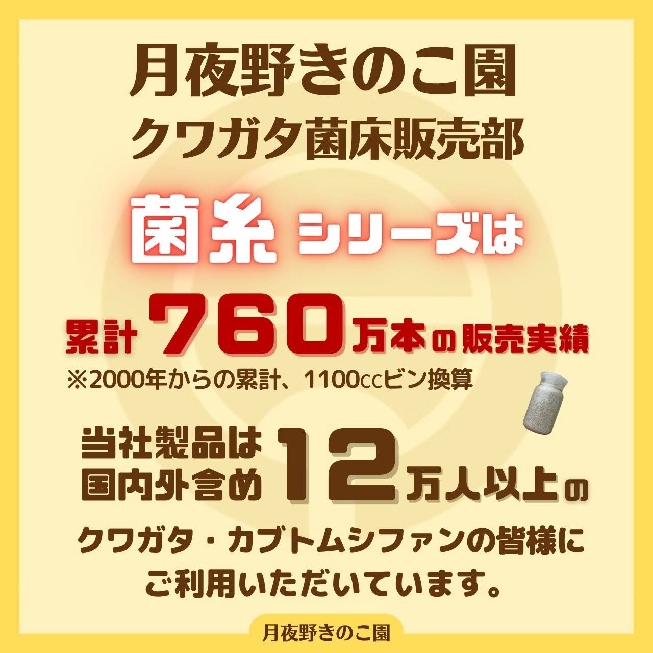 月夜野きのこ園クワガタ菌床販売部 / 菌糸ビン（カワラ茸）N-1100 12本