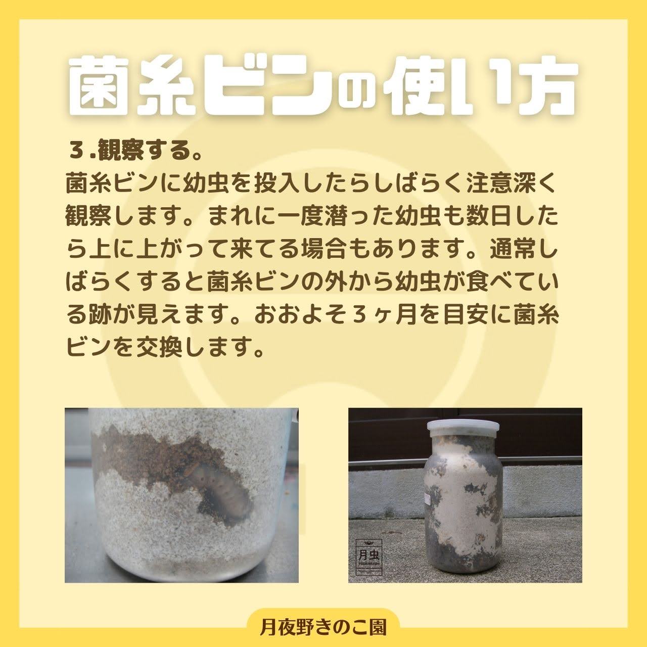 月夜野きのこ園クワガタ菌床販売部 / 菌糸ビン（カワラ茸）N-1100 12本