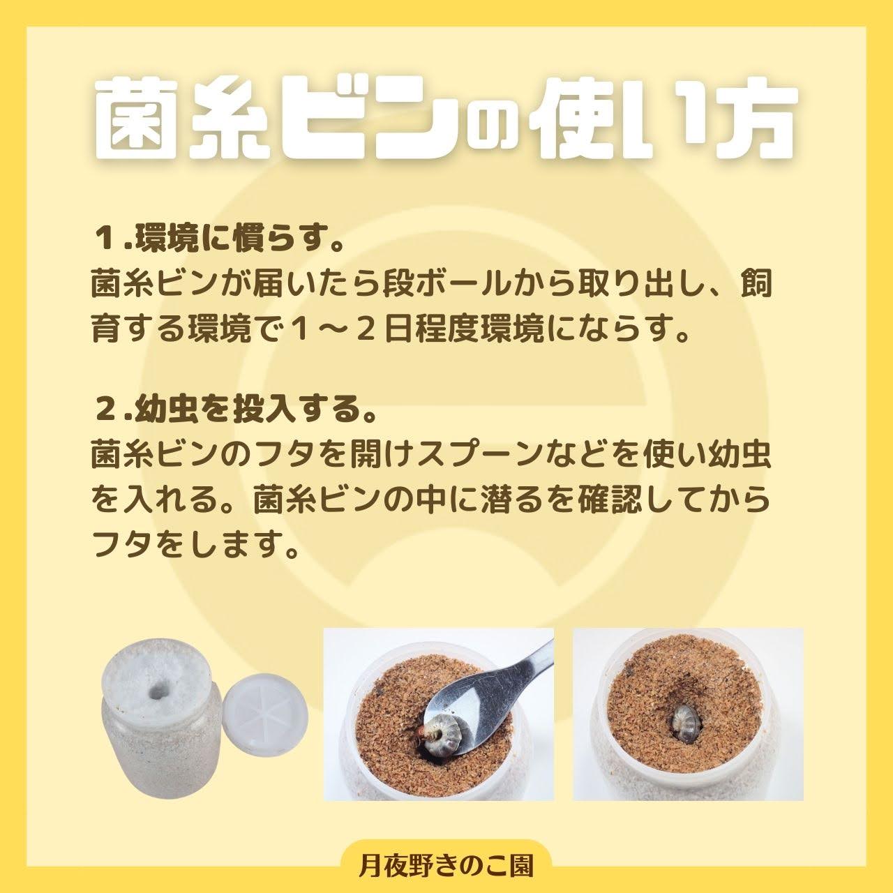 月夜野きのこ園クワガタ菌床販売部 / 菌糸ビン（カワラ茸）N-1100 12本