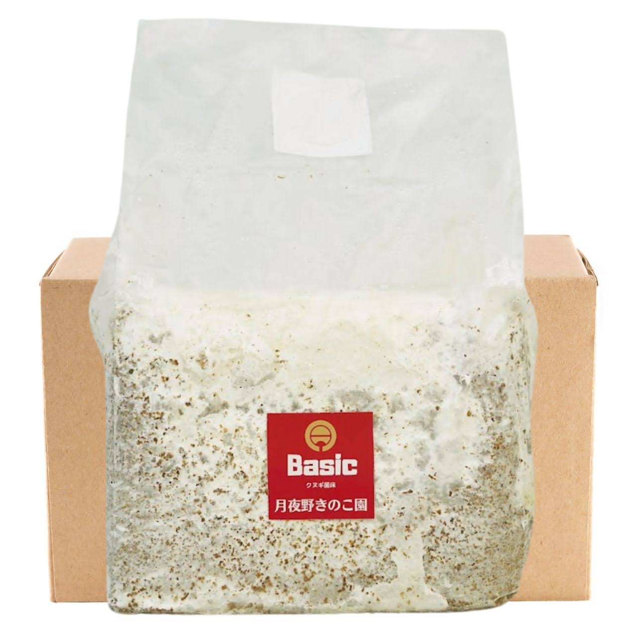 菌糸ブロック Basicクヌギ 9個セット｜送料込・割引商品｜クワガタ幼虫飼育用 ｜月夜野きのこ園