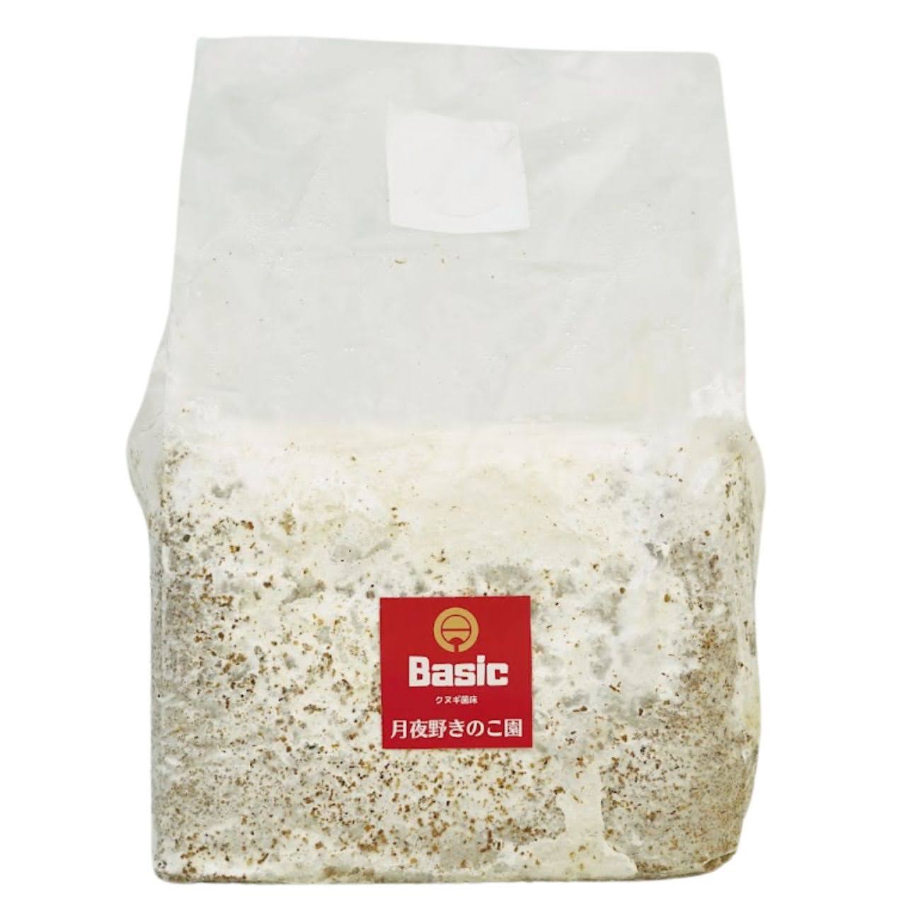 菌糸ブロック Basicクヌギ ｜クワガタ幼虫飼育用｜月夜野きのこ園