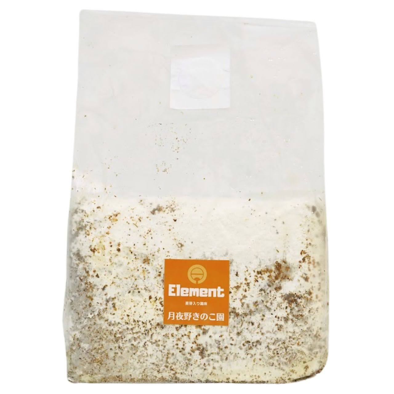 菌糸ブロック E-Block ｜クワガタ幼虫飼育用｜月夜野きのこ園