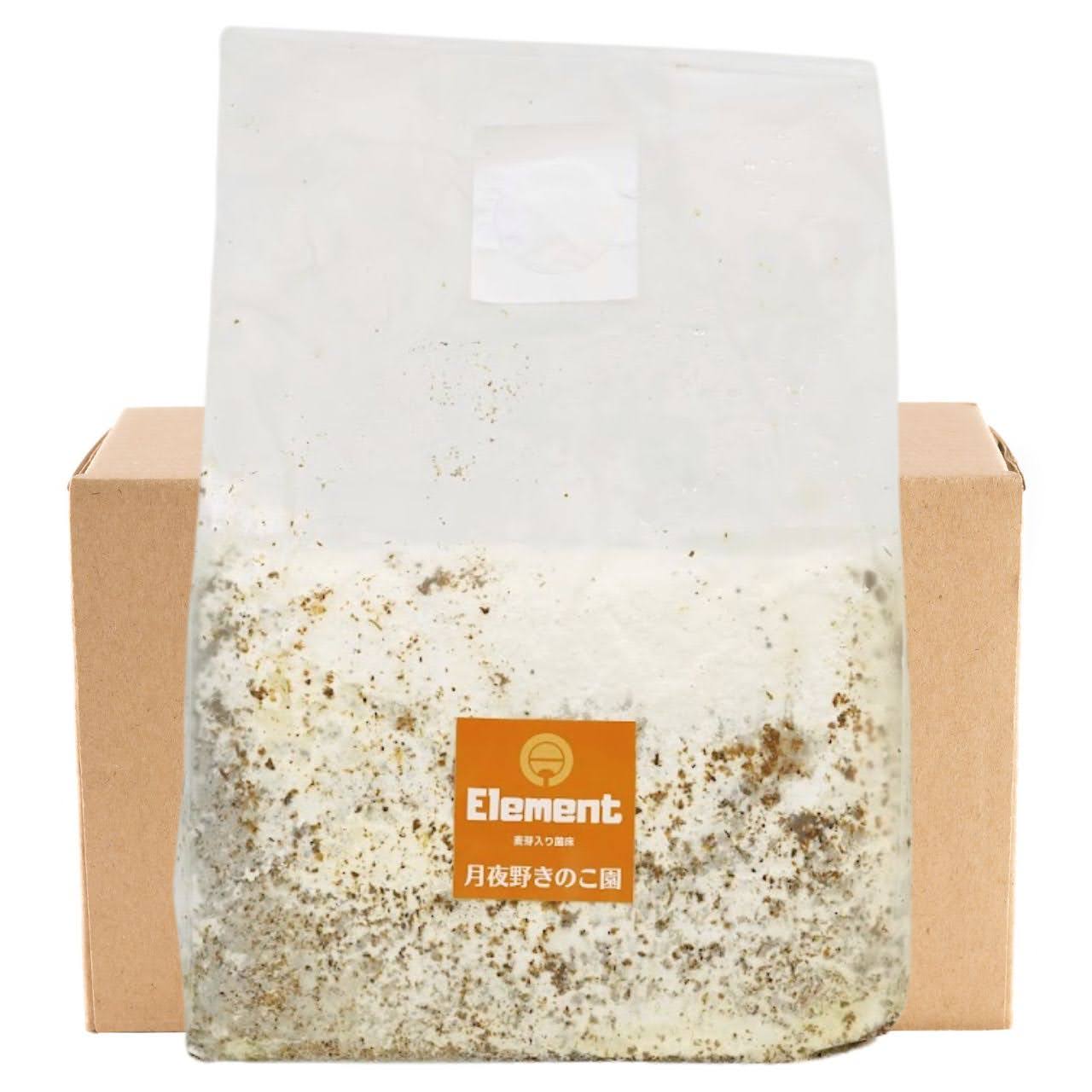 菌糸ブロック E-Block 9個セット｜送料込・割引商品｜クワガタ幼虫飼育用 ｜月夜野きのこ園