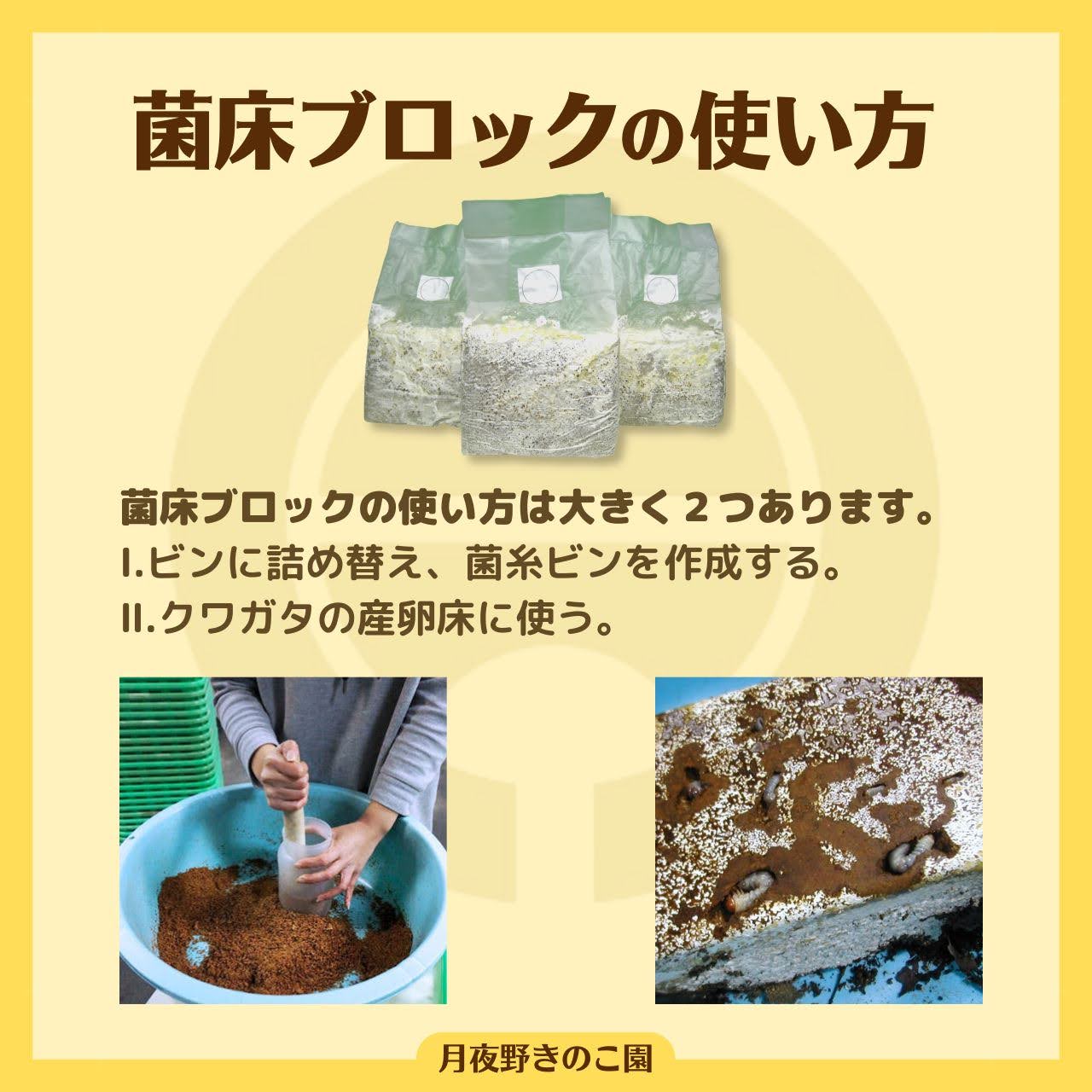 月夜野きのこ園クワガタ菌床販売部 / 菌糸ブロック N-カワラblock