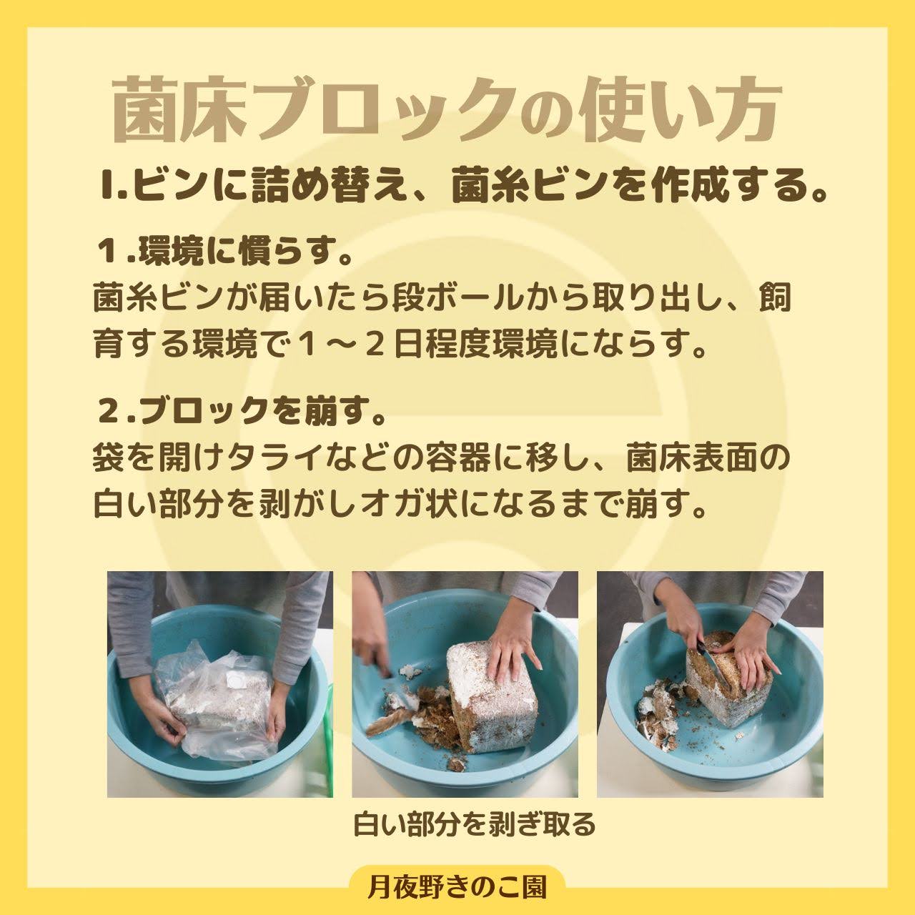 月夜野きのこ園クワガタ菌床販売部 / 菌糸ブロック N-カワラblock