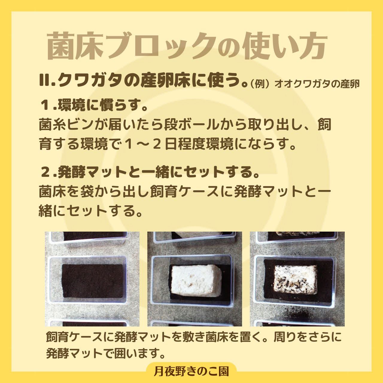 月夜野きのこ園クワガタ菌床販売部 / 菌糸ブロック N-カワラblock