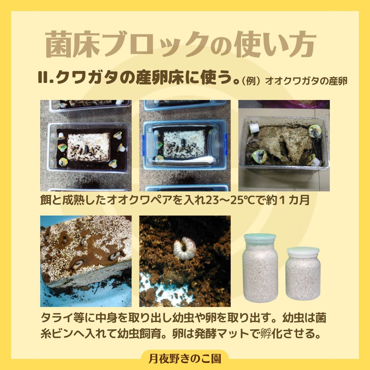 月夜野きのこ園クワガタ菌床販売部 / 菌糸ブロック N-カワラblock