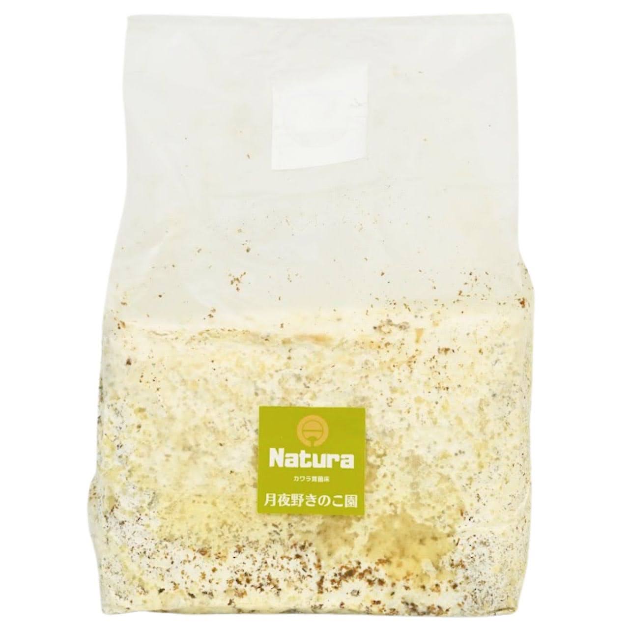 菌糸ブロック N-カワラblock ｜クワガタ幼虫飼育用｜月夜野きのこ園