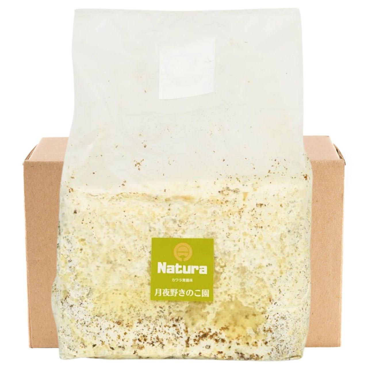 菌糸ブロック N-カワラblock 9個セット｜送料込・割引商品｜クワガタ幼虫飼育用 ｜月夜野きのこ園