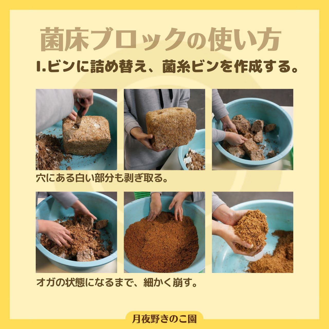 月夜野きのこ園クワガタ菌床販売部 / 菌糸ブロック N-カワラblock 9個