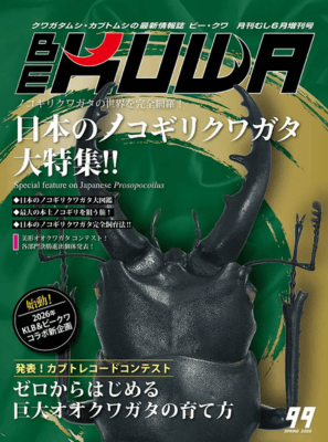 BE-KUWA No. 99