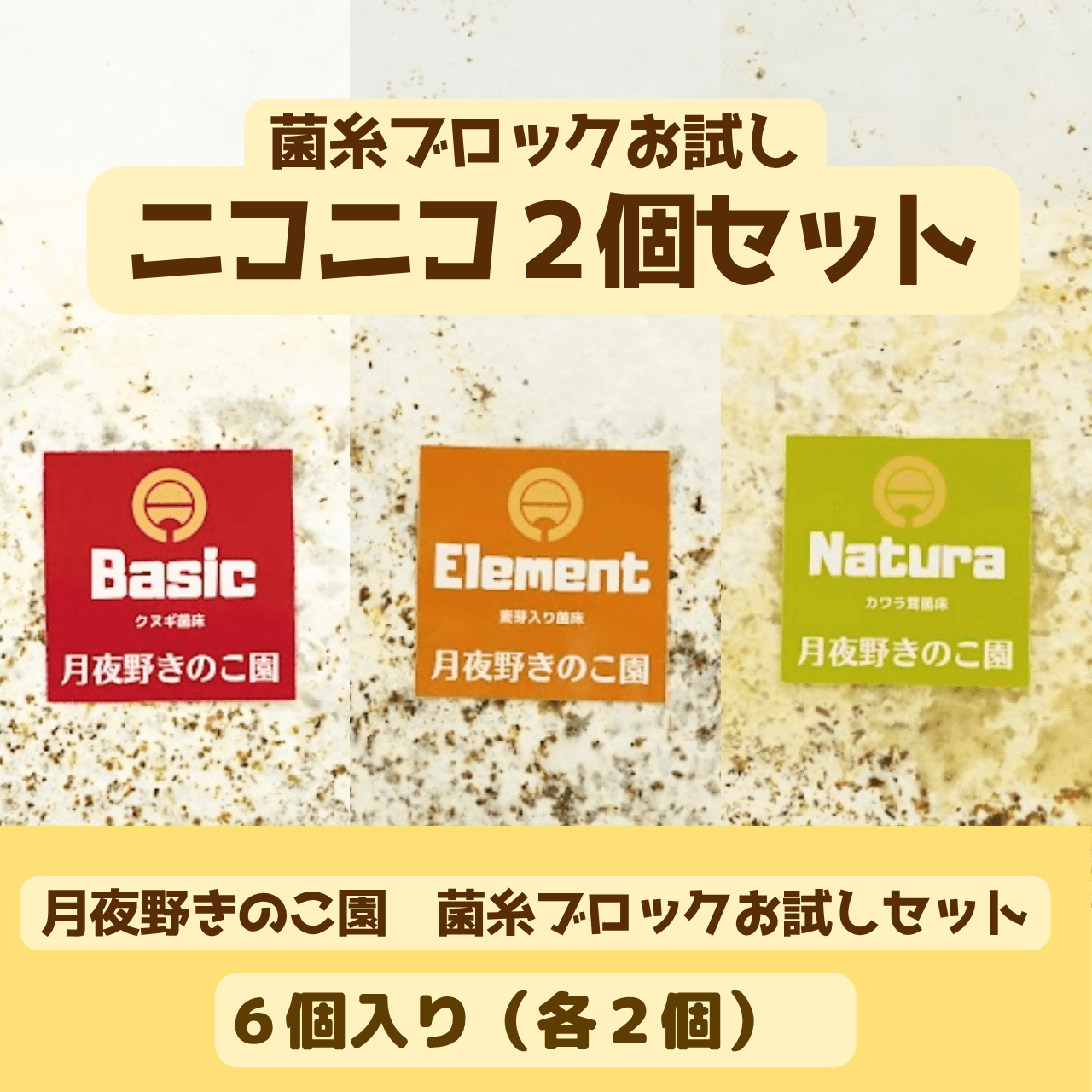 【送料込み】菌糸ブロックお試しニコニコ2個セット(数量限定|お一人様1個限り)