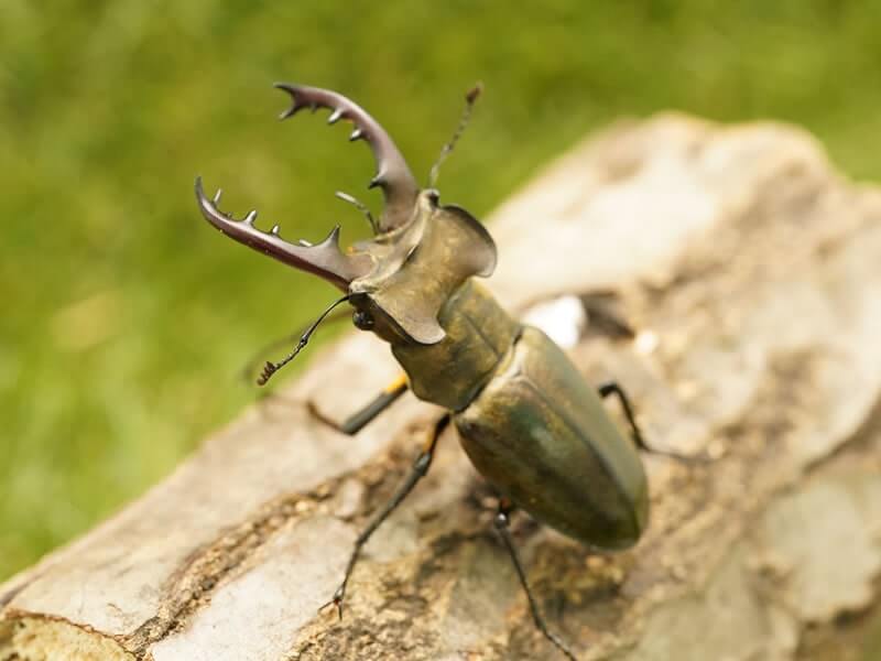 本日引き取りできる方】ダイキンルームエアコン F63RTRXP-W 20畳用