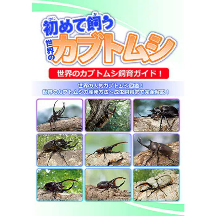 初めて飼うカブトムシ（世界の）