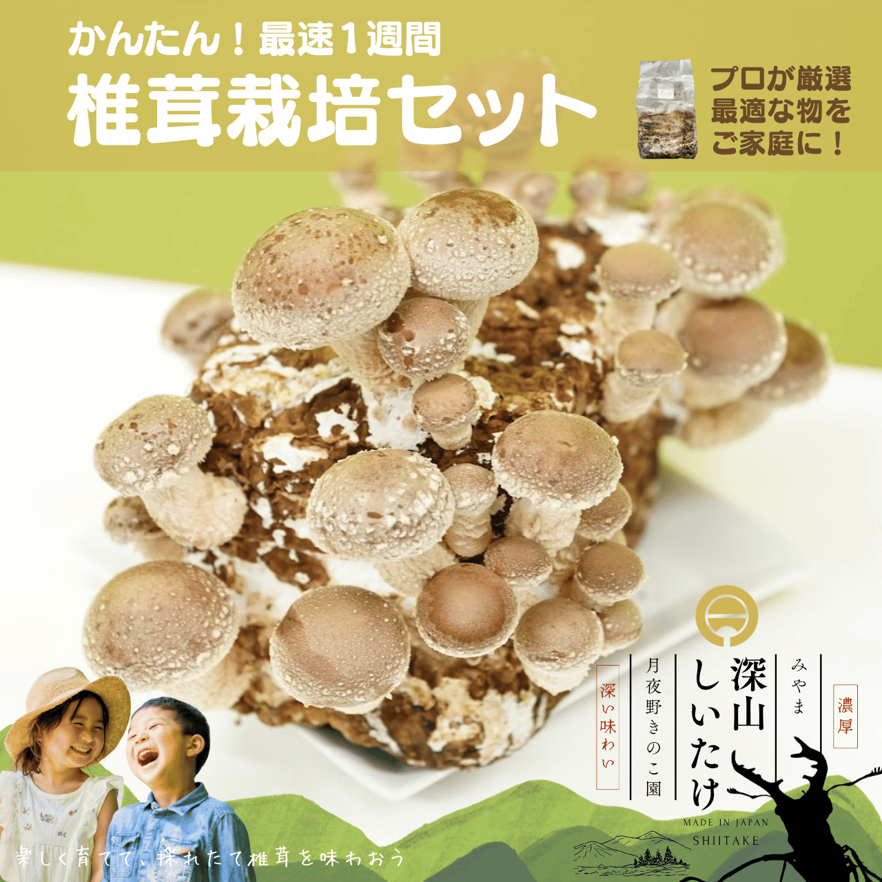 深山しいたけ_栽培セット【1個入り】《最高の鮮度を体験》PRO仕様の菌床を直送
