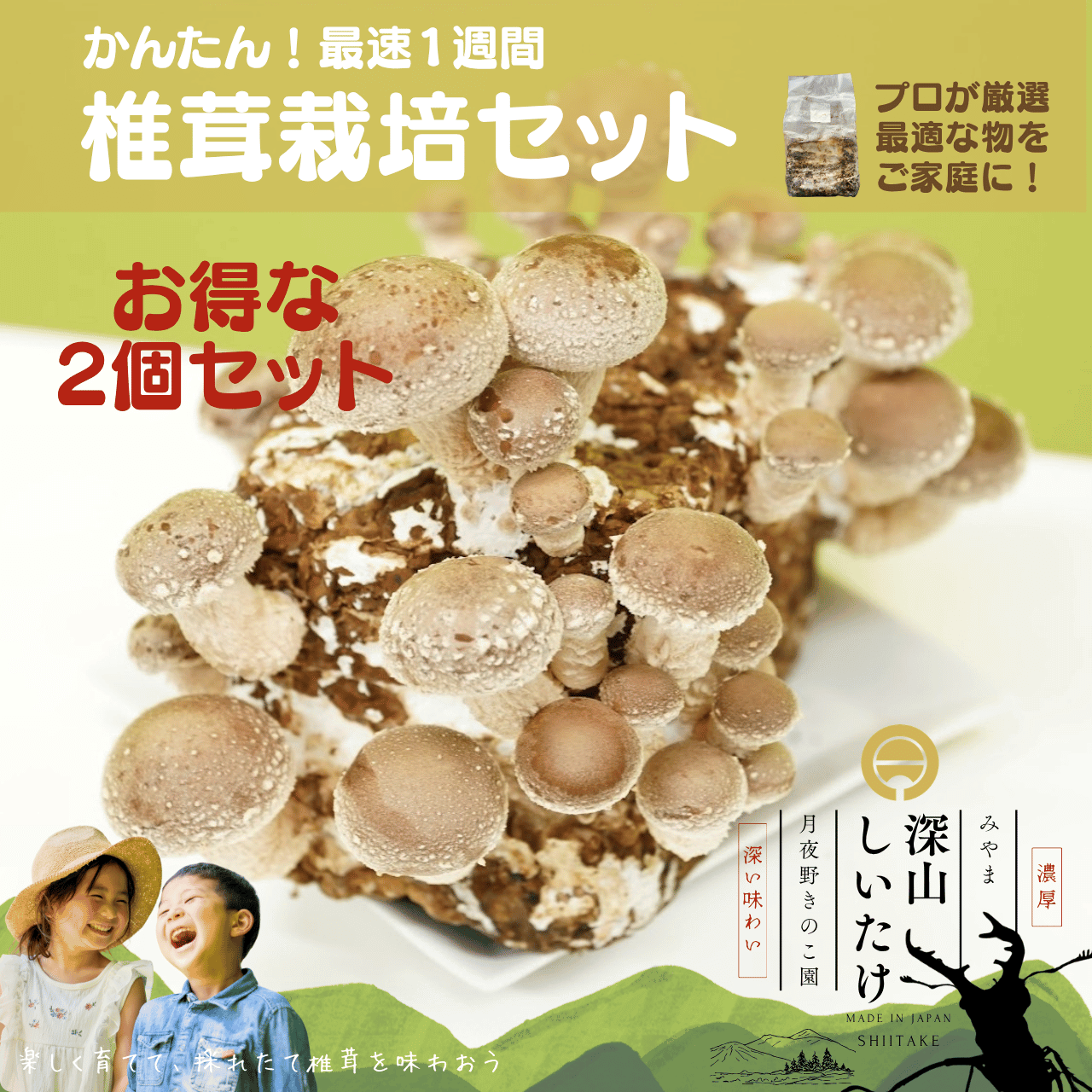 深山しいたけ_栽培セット【2個入り】《最高の鮮度を体験》PRO仕様の菌床を直送