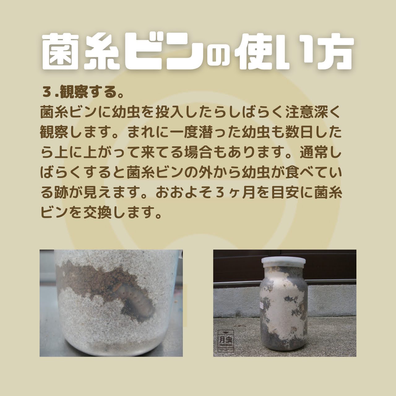 月夜野きのこ園クワガタ菌床販売部 / E-1100 バラ(菌糸瓶・菌糸ビン)