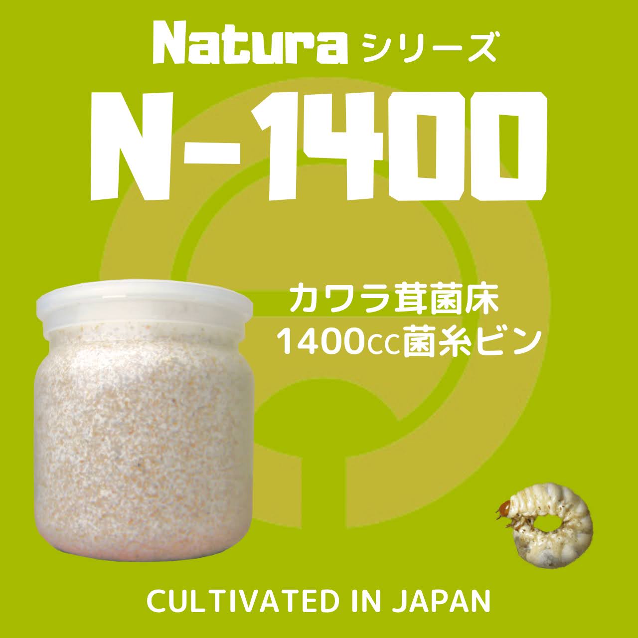 人気が高い Rinさん限 カワラ菌糸ビン1400 1本 産卵最適 2カ月保存 