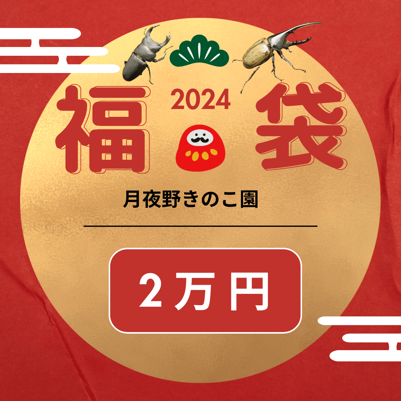 月夜野きのこ園クワガタ菌床販売部 / 2万円福袋 クワガタ、カブトの詰め合わせ(虫)