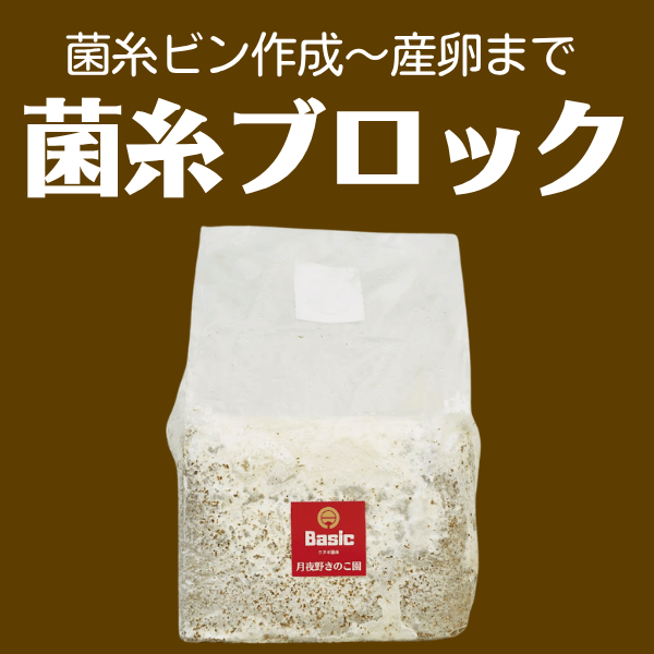 菌糸ブロック