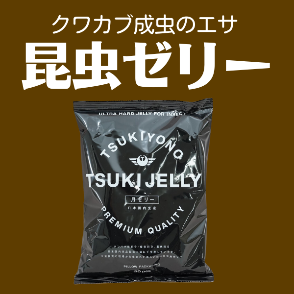 昆虫ゼリー