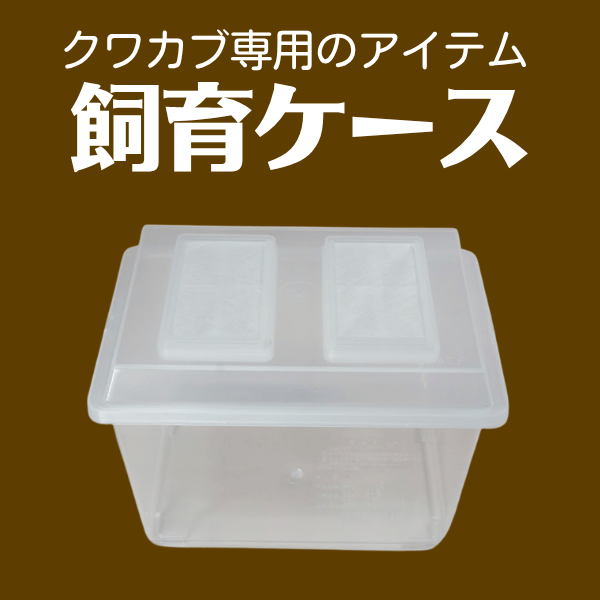 飼育ケース