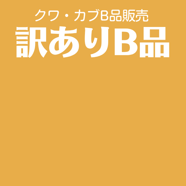 訳ありB品