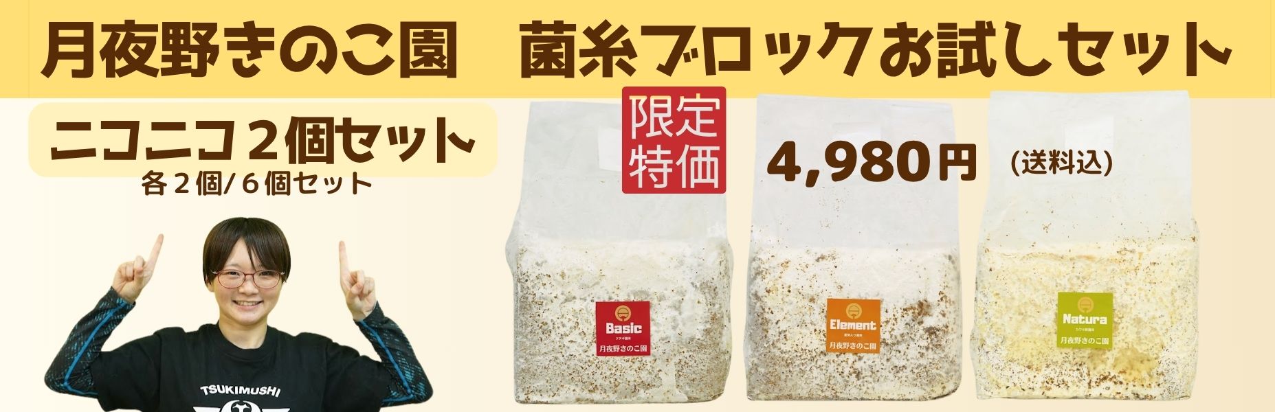 ６月キャンペーン：菌糸ブロックお試しセット