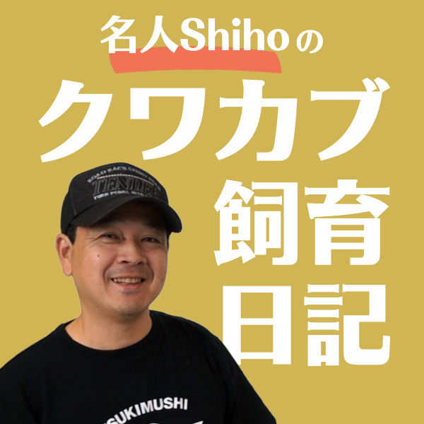 クワカブ飼育日記