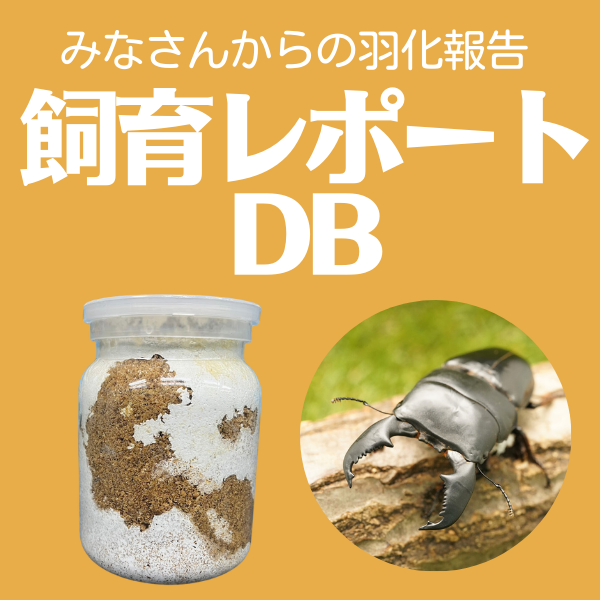 飼育レポートDB