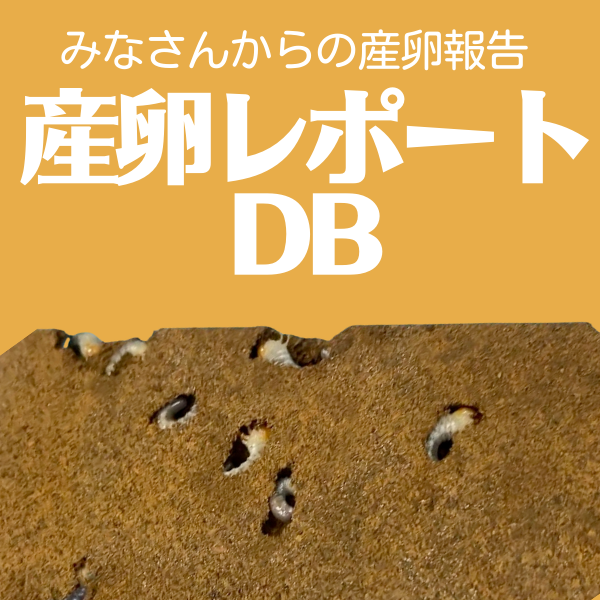 産卵レポートDB