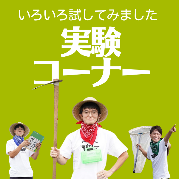 実験コーナー