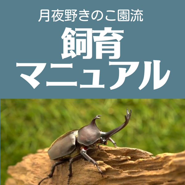 飼育マニュアル