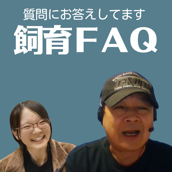 飼育FAQ