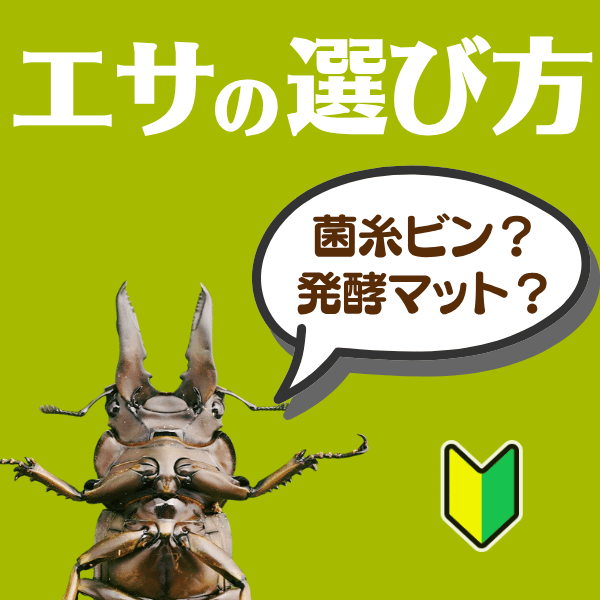 エサの選び方