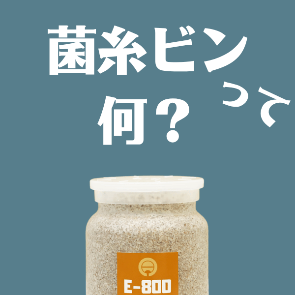 菌糸ビンって何？