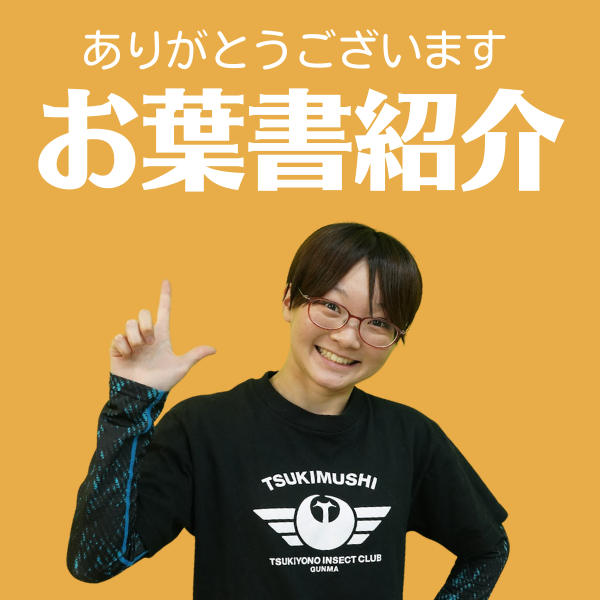お葉書紹介