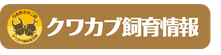 クワカブ飼育情報